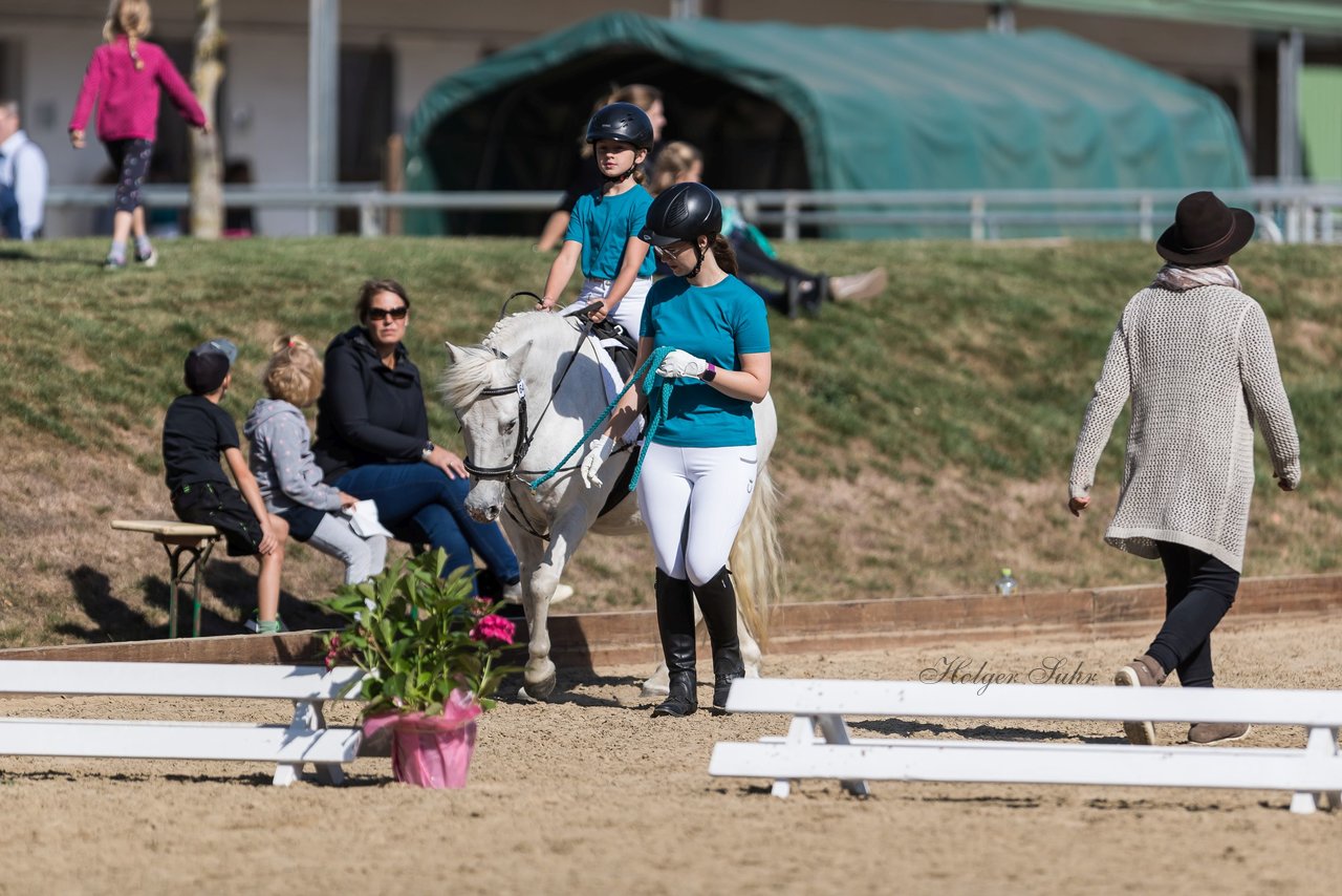 Bild 5 - Pony Akademie Turnier